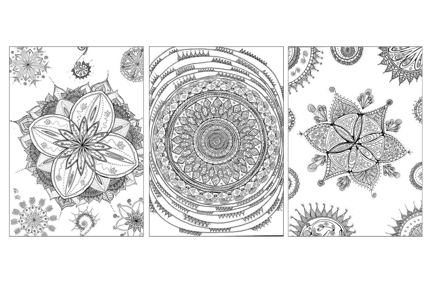Ausmalbilder für die Seele - Set mit 12 DinA3 Mandala und Zentangle Ausmalbildern