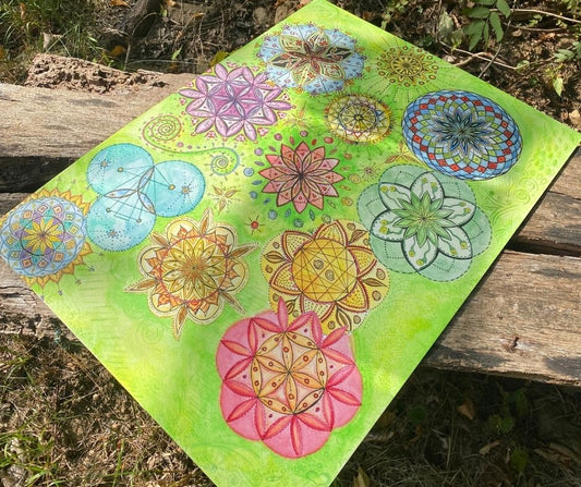 Blühende Geometrie